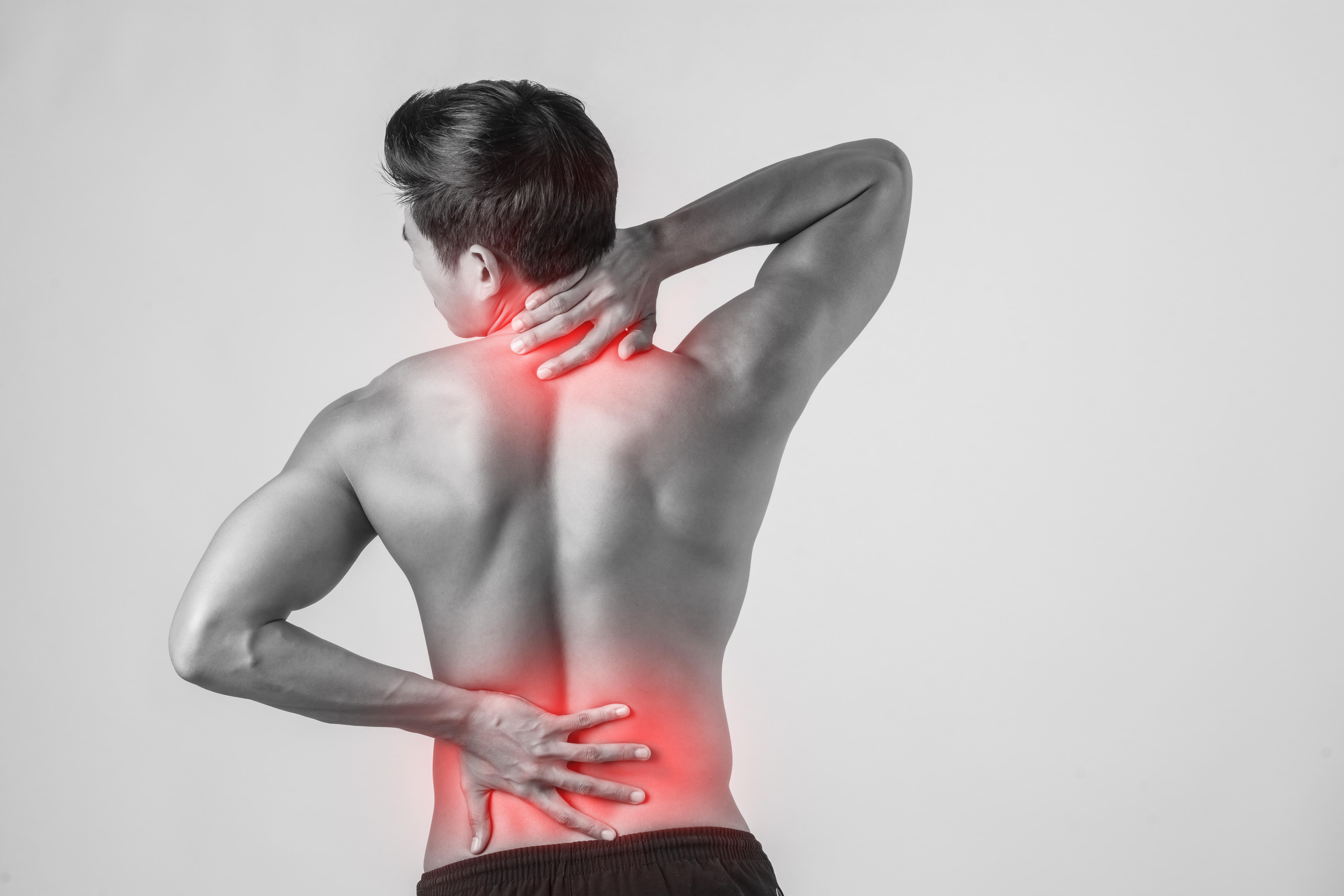 The Spine Clinic